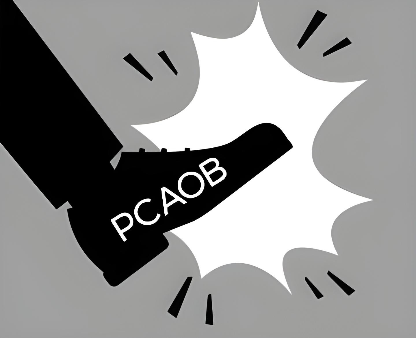 PCAOB Gives Chinese Audit Firm the Boot Over Rules Violations