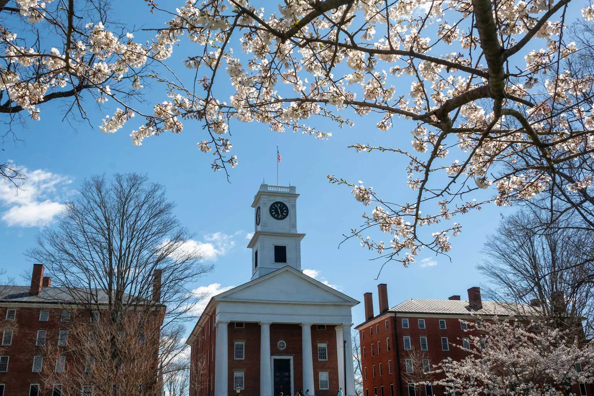 4 Rich Colleges Dodged a Big Trump Tax—and May Have an Unlikely Ally to Thank