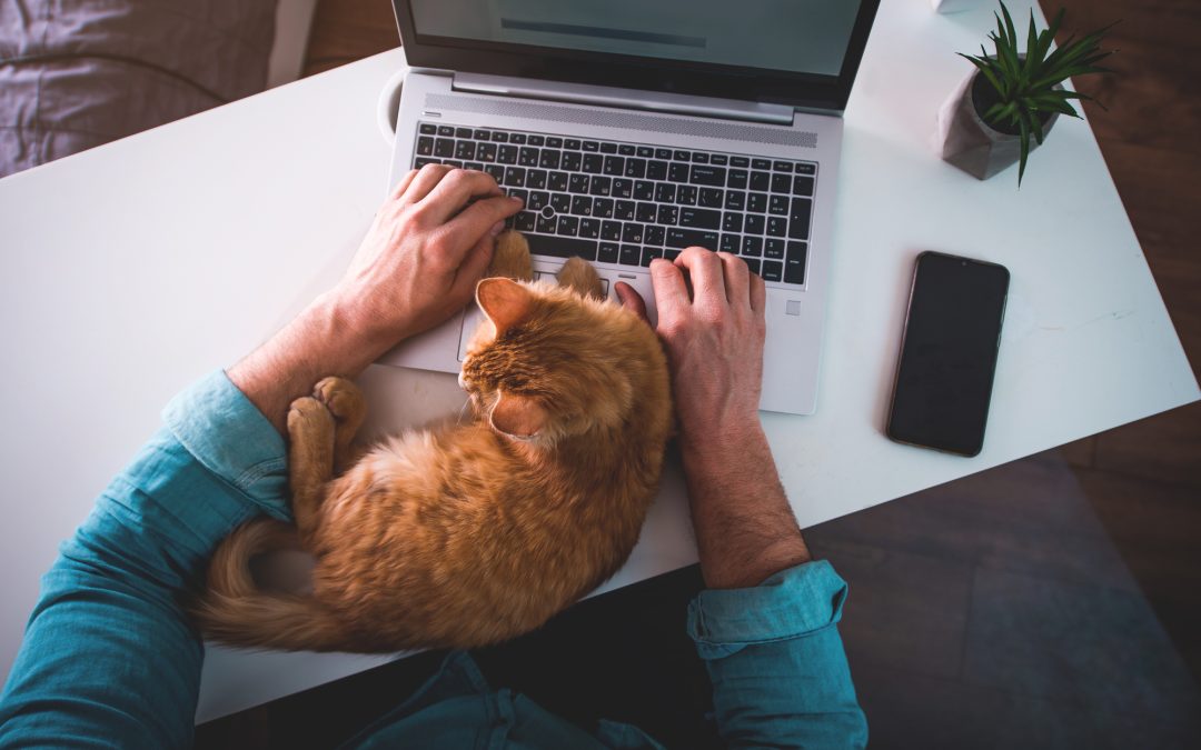 Remote Tax Roles Disappear as Job Seeker Demand Soars